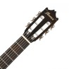 ibanez-guitarra-acustica-ibanez-color-ambar