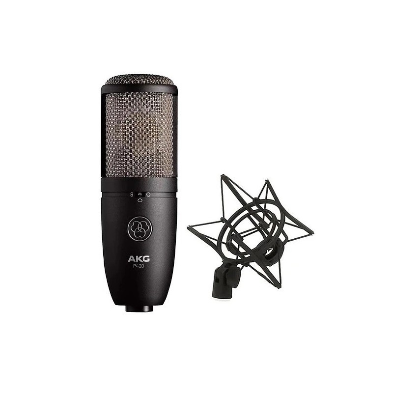 Micrófono De Condensador AKG P170 - Diafragma Pequeño De 1 Pulgada, Cardioide, Incluye Soporte
