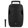 PROBASS -  Caja Activa 15 " recargable
