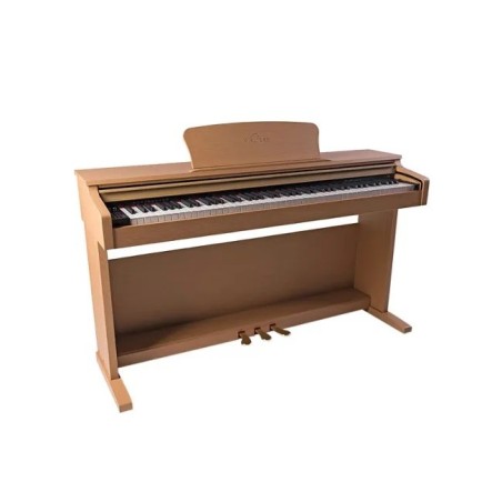 WALTERS DK-100B Piano Digital color Light Cherry