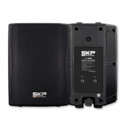 SKP  SISTEMA DE AUDIO  SK-208PX