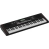 ROLAND Teclado Personal Roland E-X10 Arranger